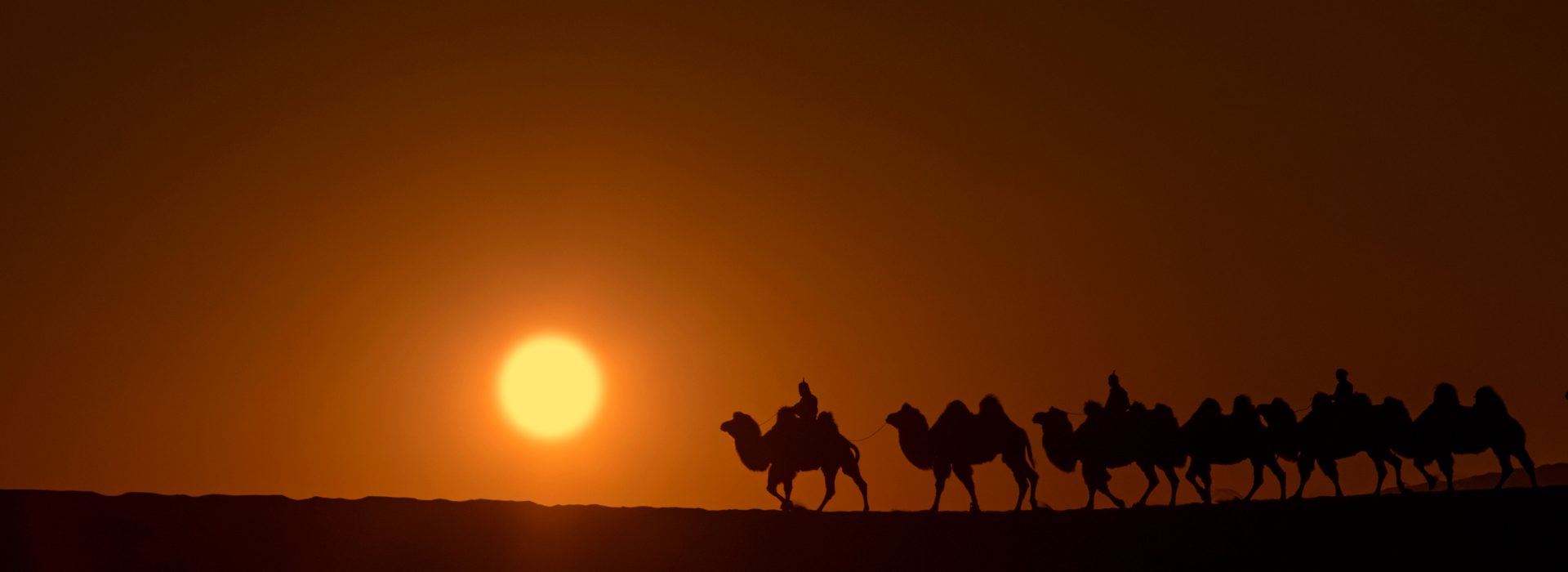 Camel-Caravan-2-1.jpg